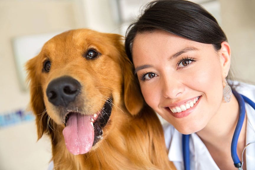 Dr. Erling Tim, board-certified veterinarian, with a dog